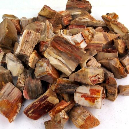 Versteinertes Holz Madagaskar Rohsteine Ø ca. 30 – 60 mm Edelsteine Heilsteine bei Wunderstein24