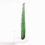 Vivianit Kristall Länge ca. 123 mm aus Bolivien in bester Qualität und Farbe Edelsteine Heilsteine bei Wunderstein24