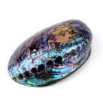 Abalone Schale poliert Ø ca. 124 mm Seeohr Perlmutt Haliotis Räucherschale Edelsteine Heilsteine bei Wunderstein24