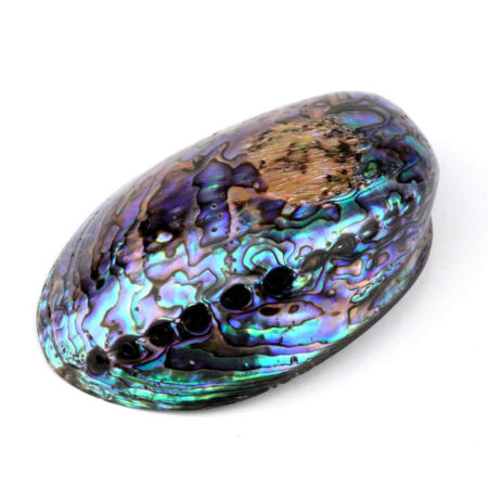 Abalone Schale poliert Ø ca. 124 mm Seeohr Perlmutt Haliotis Räucherschale Edelsteine Heilsteine bei Wunderstein24