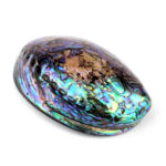 Abalone Schale poliert Ø ca. 124 mm Seeohr Perlmutt Haliotis Räucherschale Edelsteine Heilsteine bei Wunderstein24