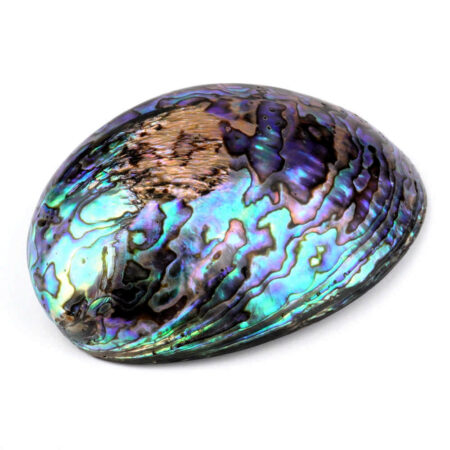 Abalone Schale poliert Ø ca. 124 mm Seeohr Perlmutt Haliotis Räucherschale Edelsteine Heilsteine bei Wunderstein24