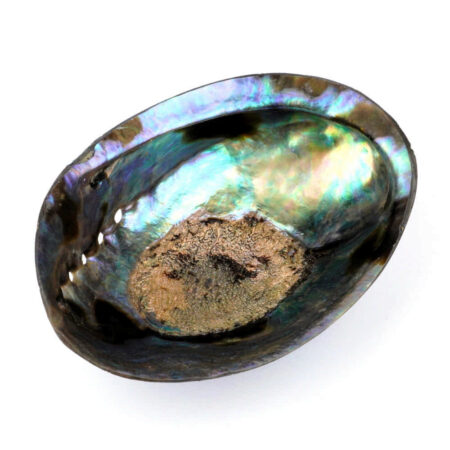 Abalone Schale poliert Ø ca. 124 mm Seeohr Perlmutt Haliotis Räucherschale Edelsteine Heilsteine bei Wunderstein24