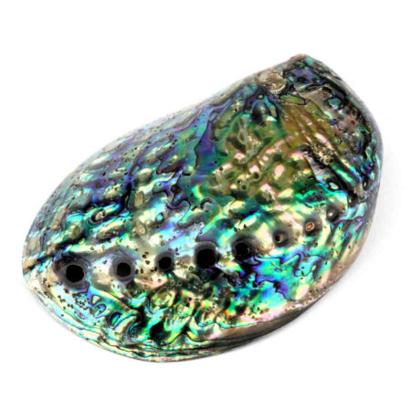 Abalone Schale poliert Ø ca. 119 mm Seeohr Perlmutt Haliotis Räucherschale Edelsteine Heilsteine bei Wunderstein24