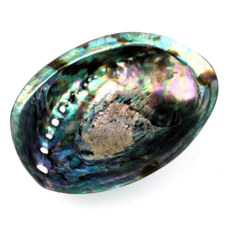 Abalone Schale poliert Ø ca. 119 mm Seeohr Perlmutt Haliotis Räucherschale Edelsteine Heilsteine bei Wunderstein24