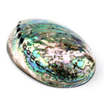 Abalone Schale poliert Ø ca. 125 mm Seeohr Perlmutt Haliotis Räucherschale Edelsteine Heilsteine bei Wunderstein24