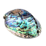 Abalone Schale poliert Ø ca. 126 mm Seeohr Perlmutt Haliotis Räucherschale Edelsteine Heilsteine bei Wunderstein24