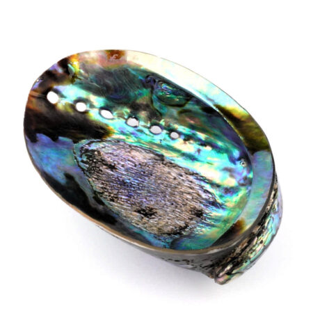 Abalone Schale poliert Ø ca. 121 mm Seeohr Perlmutt Haliotis Räucherschale Edelsteine Heilsteine bei Wunderstein24