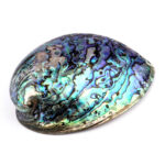 Abalone Schale poliert Ø ca. 126 mm Seeohr Perlmutt Haliotis Räucherschale Edelsteine Heilsteine bei Wunderstein24