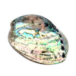 Abalone Schale poliert Ø ca. 126 mm Seeohr Perlmutt Haliotis Räucherschale Edelsteine Heilsteine bei Wunderstein24