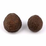 Moqui Marbles Paar männlich & weiblich | Lebende Steine Edelsteine Heilsteine bei Wunderstein24