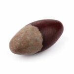 Shiva Lingam Heilstein Länge 77 mm vom Fluß Narmada in Indien Energiestein Edelsteine Heilsteine bei Wunderstein24