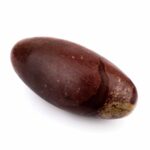 großer Shiva Lingam Heilstein Länge 199 mm vom Fluß Narmada in Indien Energiestein Edelsteine Heilsteine bei Wunderstein24