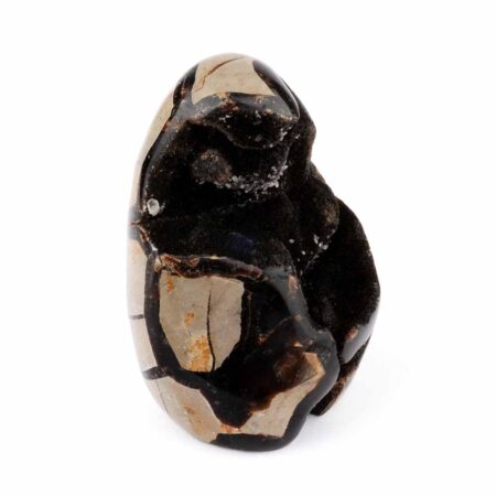 Septarie Ei | Stufe Höhe 104 mm in bester Farbe und Struktur Edelsteine Heilsteine bei Wunderstein24