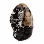 Septarie Ei | Stufe Höhe 112 mm in bester Farbe und Struktur Edelsteine Heilsteine bei Wunderstein24