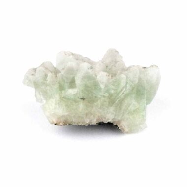Apophyllit Stufe grün Ø 46 mm aus Indien mit vielen Kristallen Edelsteine Heilsteine bei Wunderstein24