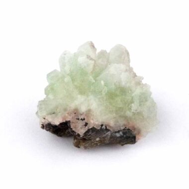 Apophyllit Stufe grün Ø 39 mm aus Indien mit vielen Kristallen Edelsteine Heilsteine bei Wunderstein24