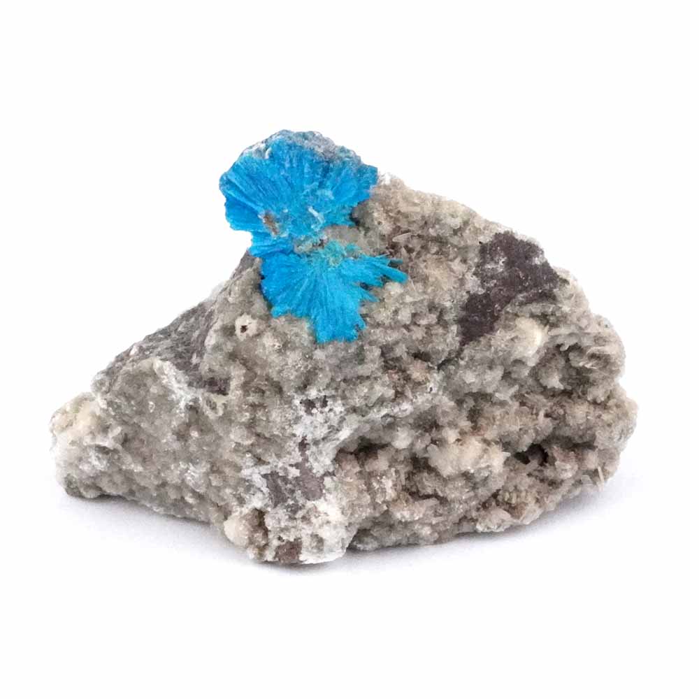 Cavansit Stufe mit Blüte auf Stilbit Ø 51 mm aus Indien Selten! Edelsteine Heilsteine bei Wunderstein24 Cavansit Stufe mit Blüte auf Stilbit Ø 51 mm aus Indien Selten! Edelsteine Heilsteine bei Wunderstein24