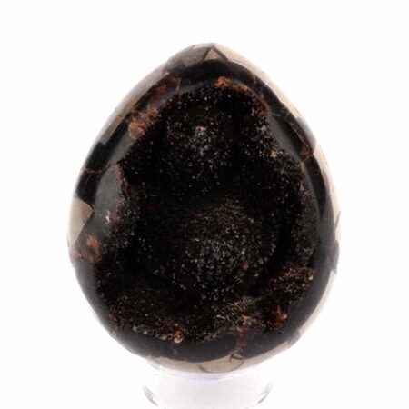 Septarie Ei | Stufe Höhe 78 mm in bester Farbe und Struktur Edelsteine Heilsteine bei Wunderstein24