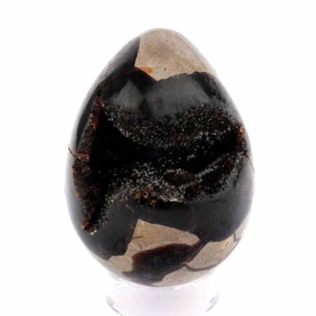 Septarie Ei | Stufe Höhe 71 mm in bester Farbe und Struktur Edelsteine Heilsteine bei Wunderstein24