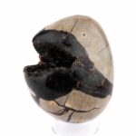 Septarie Ei | Stufe Höhe 71 mm in bester Farbe und Struktur Edelsteine Heilsteine bei Wunderstein24