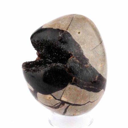 Septarie Ei | Stufe Höhe 71 mm in bester Farbe und Struktur Edelsteine Heilsteine bei Wunderstein24