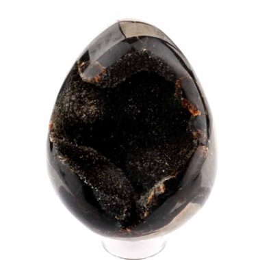 Septarie Ei | Stufe Höhe 102 mm in bester Farbe und Struktur Edelsteine Heilsteine bei Wunderstein24