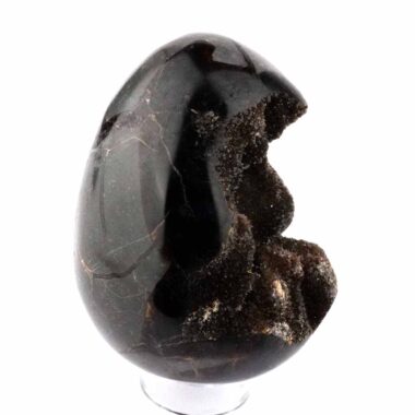 Septarie Ei | Stufe Höhe 95 mm in bester Farbe und Struktur Edelsteine Heilsteine bei Wunderstein24