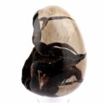 Septarie Ei | Stufe Höhe 85 mm in bester Farbe und Struktur Edelsteine Heilsteine bei Wunderstein24