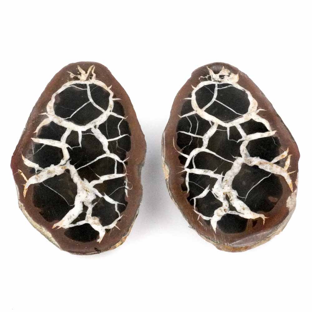 Septarie Paar Ø 59 mm mit wunderschöner Maserung Edelsteine Heilsteine bei Wunderstein24 Septarie Paar Ø 59 mm mit wunderschöner Maserung Edelsteine Heilsteine bei Wunderstein24