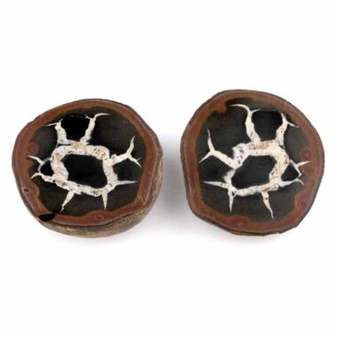 Septarie Paar Ø 48 mm mit wunderschöner Maserung Edelsteine Heilsteine bei Wunderstein24