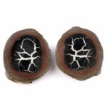 Septarie Paar Ø 56 mm mit wunderschöner Maserung Edelsteine Heilsteine bei Wunderstein24