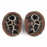 Septarie Paar Ø 56 mm mit wunderschöner Maserung Edelsteine Heilsteine bei Wunderstein24