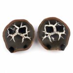 Septarie Paar Ø 53 mm mit wunderschöner Maserung Edelsteine Heilsteine bei Wunderstein24