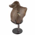 große Amethyst Sammler Stufe Höhe 440 mm aus Uruguay in einzigartiger Farbe und Qualität Edelsteine Heilsteine bei Wunderstein24 große Amethyst Sammler Stufe Höhe 440 mm aus Uruguay in einzigartiger Farbe und Qualität Edelsteine Heilsteine bei Wunderstein24