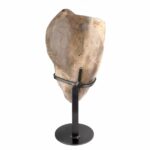 große Amethyst Sammler Stufe Höhe 490 mm aus Uruguay in einzigartiger Farbe und Qualität Edelsteine Heilsteine bei Wunderstein24 große Amethyst Sammler Stufe Höhe 490 mm aus Uruguay in einzigartiger Farbe und Qualität Edelsteine Heilsteine bei Wunderstein24