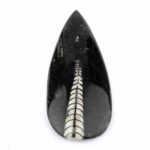 Orthoceras | Nautiloide – Kopffüßer Marokko Länge ca. 158 mm Edelsteine Heilsteine bei Wunderstein24