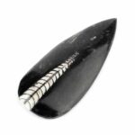 Orthoceras | Nautiloide – Kopffüßer Marokko Länge ca. 149 mm Edelsteine Heilsteine bei Wunderstein24