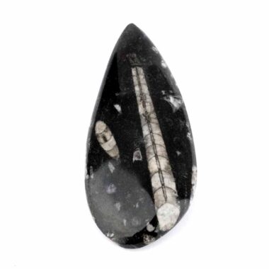 Orthoceras | Nautiloide – Kopffüßer Marokko Länge ca. 139 mm Edelsteine Heilsteine bei Wunderstein24 Orthoceras | Nautiloide – Kopffüßer Marokko Länge ca. 139 mm Edelsteine Heilsteine bei Wunderstein24