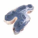 Versteinertes Holz Scheibe | Platte bunt Natur in bester Farbe und Maserung Edelsteine Heilsteine bei Wunderstein24