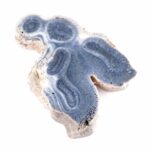 Blaue Koralle versteinert Scheibe | Platte Natur in bester Farbe und Maserung Edelsteine Heilsteine bei Wunderstein24