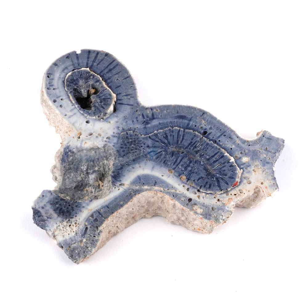 Blaue Koralle versteinert Scheibe | Platte Natur in bester Farbe und Maserung Edelsteine Heilsteine bei Wunderstein24 Blaue Koralle versteinert Scheibe | Platte Natur in bester Farbe und Maserung Edelsteine Heilsteine bei Wunderstein24