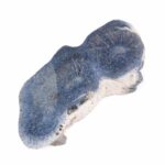 Blaue Koralle versteinert Scheibe | Platte Natur in bester Farbe und Maserung Edelsteine Heilsteine bei Wunderstein24 Blaue Koralle versteinert Scheibe | Platte Natur in bester Farbe und Maserung Edelsteine Heilsteine bei Wunderstein24