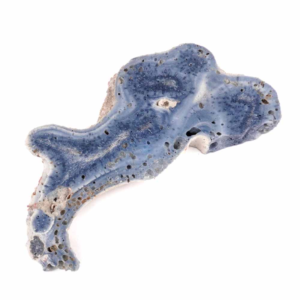 Blaue Koralle versteinert Scheibe | Platte Natur in bester Farbe und Maserung Edelsteine Heilsteine bei Wunderstein24 Blaue Koralle versteinert Scheibe | Platte Natur in bester Farbe und Maserung Edelsteine Heilsteine bei Wunderstein24