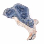 Blaue Koralle versteinert Scheibe | Platte Natur in bester Farbe und Maserung Edelsteine Heilsteine bei Wunderstein24 Blaue Koralle versteinert Scheibe | Platte Natur in bester Farbe und Maserung Edelsteine Heilsteine bei Wunderstein24