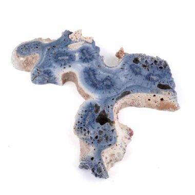 Blaue Koralle versteinert Scheibe | Platte Natur in bester Farbe und Maserung Edelsteine Heilsteine bei Wunderstein24