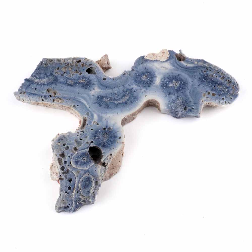 Blaue Koralle versteinert Scheibe | Platte Natur in bester Farbe und Maserung Edelsteine Heilsteine bei Wunderstein24 Blaue Koralle versteinert Scheibe | Platte Natur in bester Farbe und Maserung Edelsteine Heilsteine bei Wunderstein24