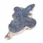 Blaue Koralle versteinert Scheibe | Platte Natur in bester Farbe und Maserung Edelsteine Heilsteine bei Wunderstein24 Blaue Koralle versteinert Scheibe | Platte Natur in bester Farbe und Maserung Edelsteine Heilsteine bei Wunderstein24