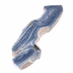 Blaue Koralle versteinert Scheibe | Platte Natur in bester Farbe und Maserung Edelsteine Heilsteine bei Wunderstein24