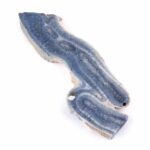 Blaue Koralle versteinert Scheibe | Platte Natur in bester Farbe und Maserung Edelsteine Heilsteine bei Wunderstein24